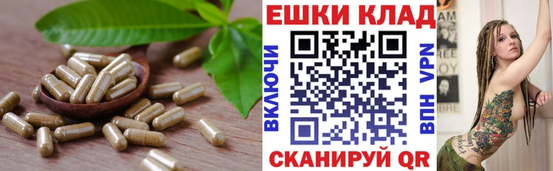 ЭКСТАЗИ 99%  купить наркоту  Петухово 