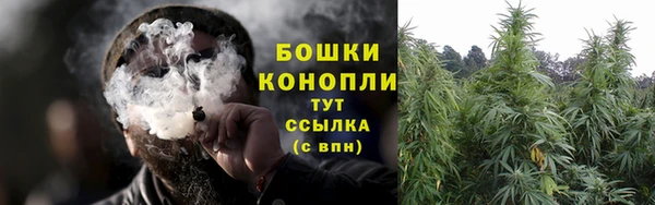 гашик Осташков