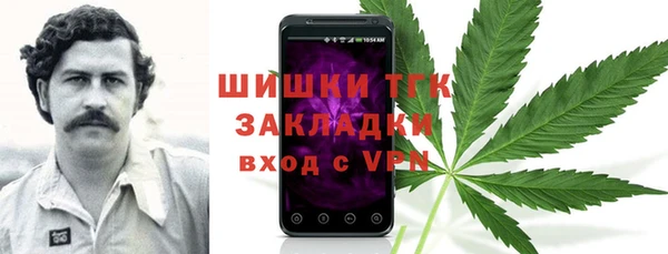 гашик Осташков