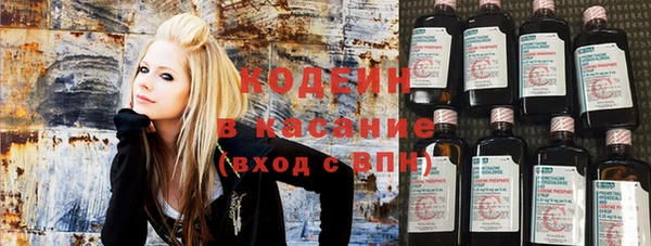 гашик Осташков