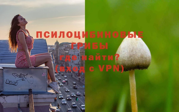 гашик Осташков