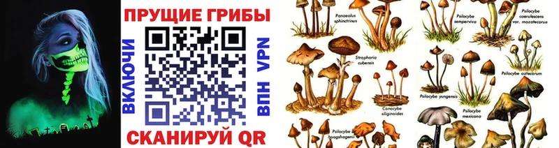 площадка наркотические препараты  Петухово  Псилоцибиновые грибы Psilocybine cubensis  купить  цена 