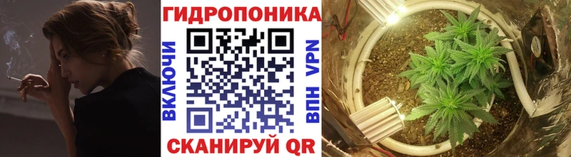 что такое наркотик  Петухово  Конопля сатива 